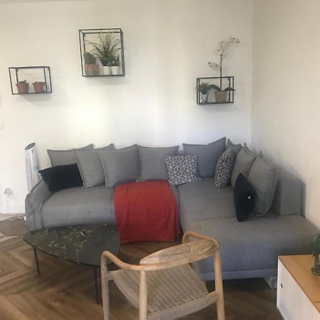 Nid Douillet - Bel Appartement Avec Garage 그르노블 외부 사진